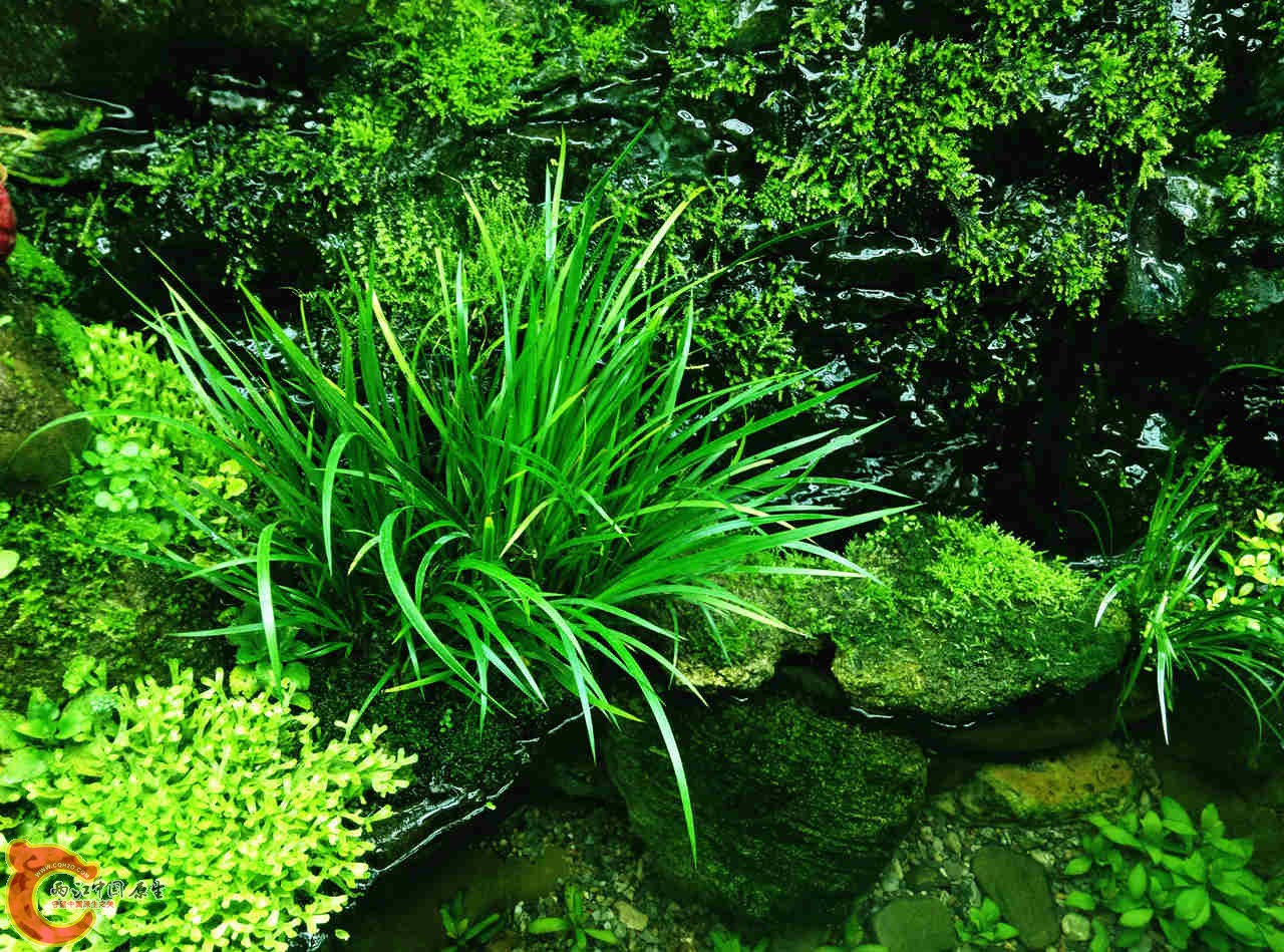 IMG20131116155335221_副本.jpg