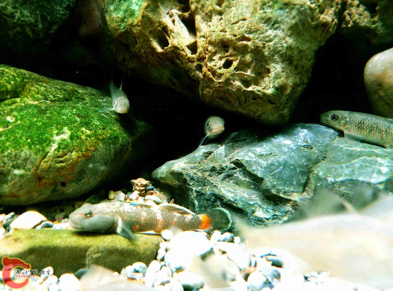 IMG20131116155437687_副本.jpg
