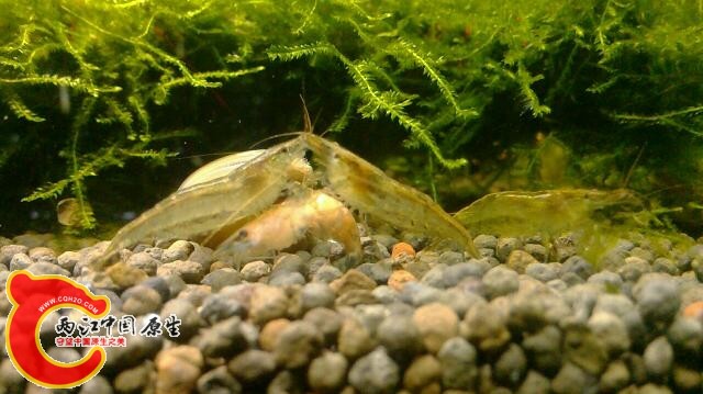 2013-11-08 01-18-38-546.jpg