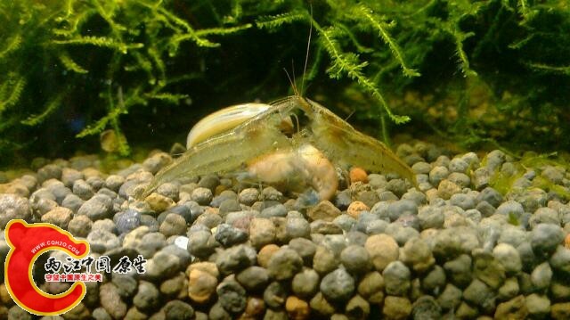 2013-11-08 01-18-05-009.jpg