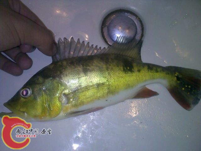 QQ图片20131126102423.jpg
