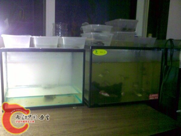 QQ图片20131126102458.jpg