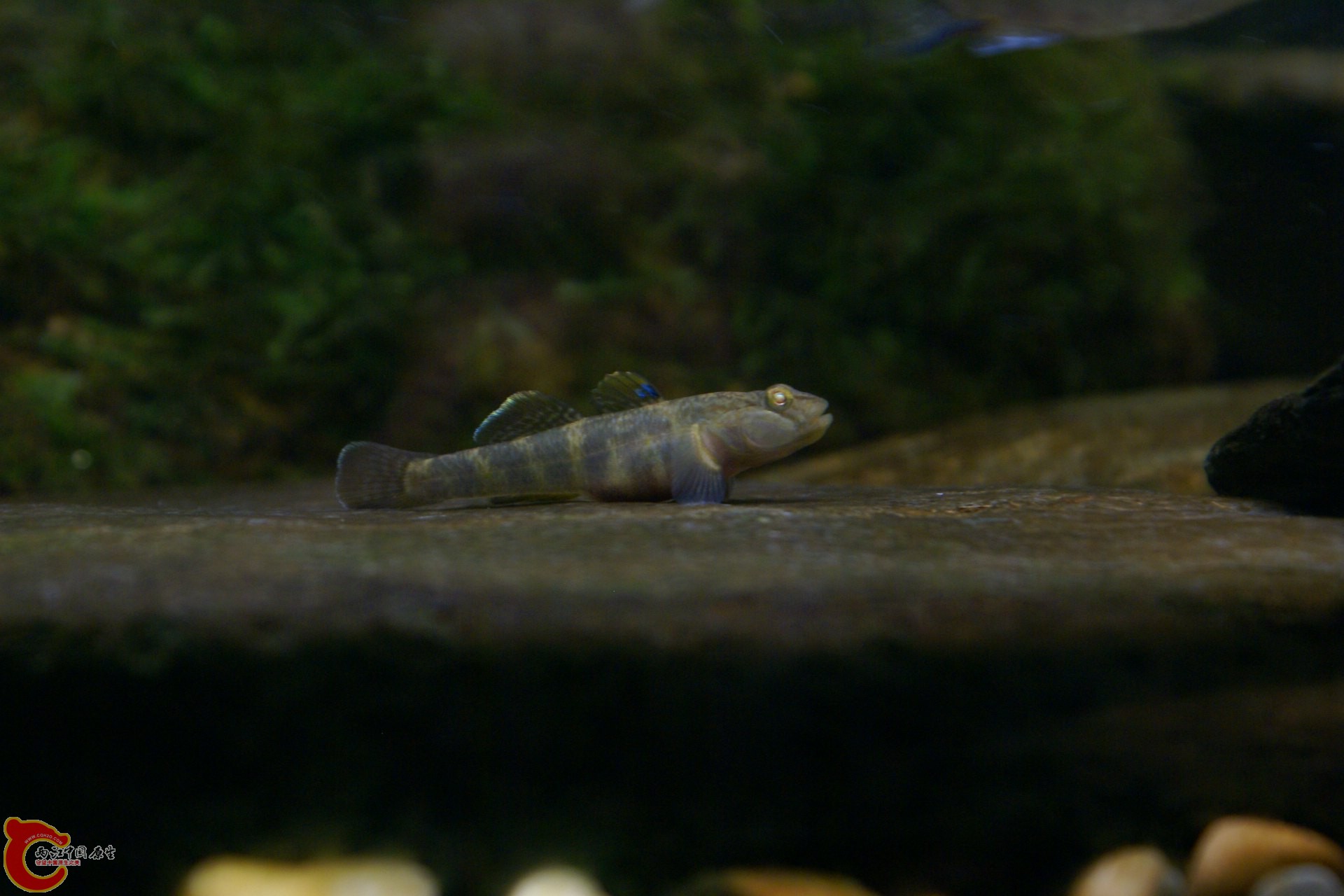 DSC05886.JPG