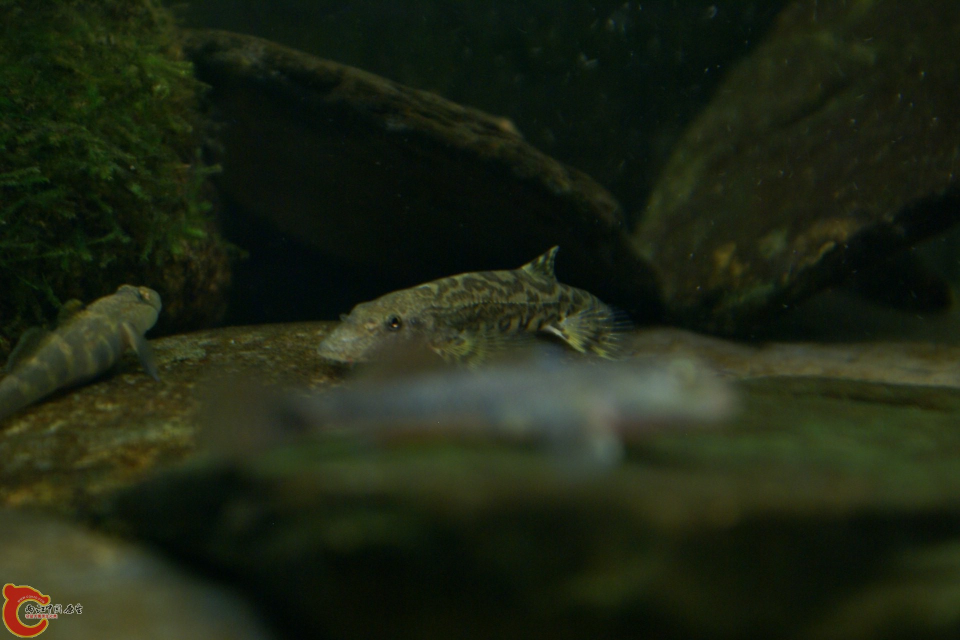 DSC05964.JPG