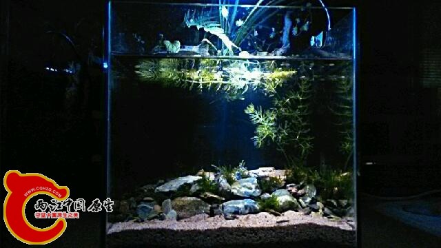 IMG_20131126_231113.jpg