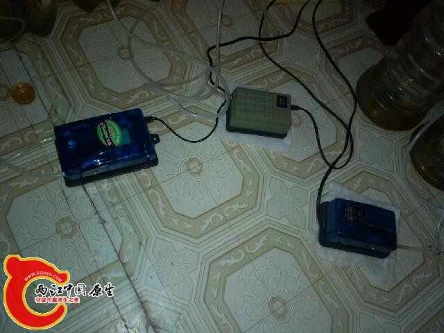 scan20131204072631.jpg