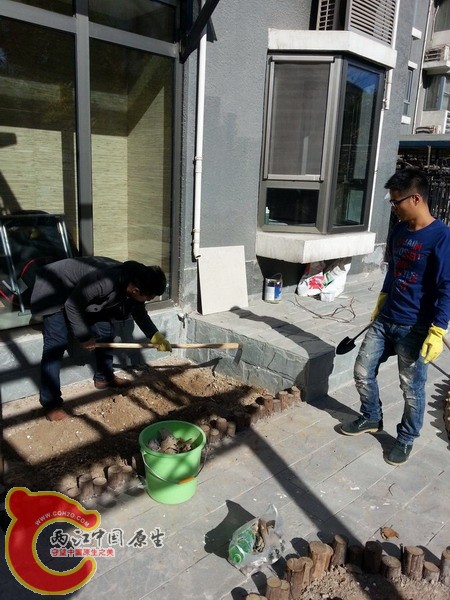 20131110_120128.jpg