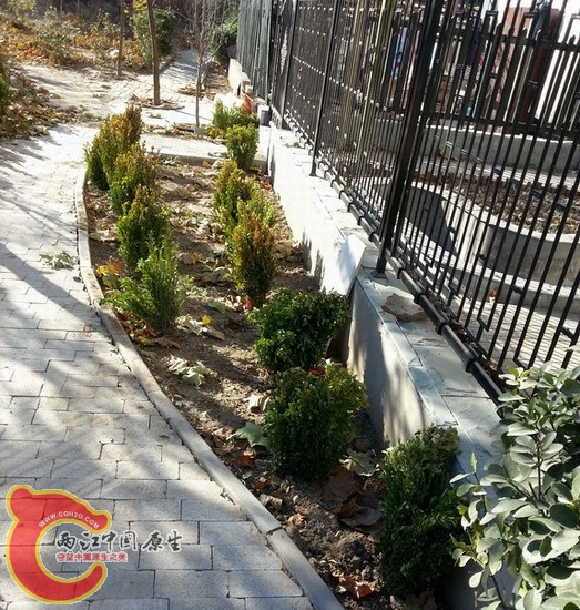 20131130_135203.jpg