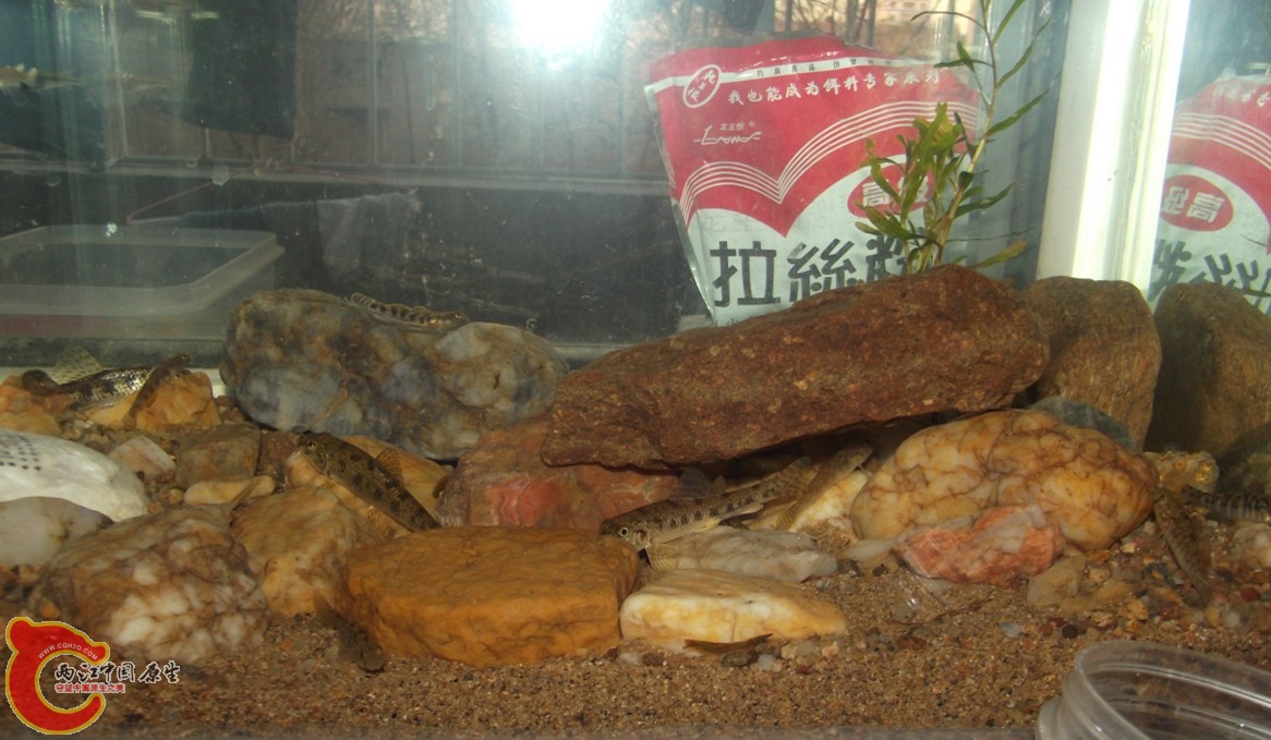 QQ截图20131213164023.jpg