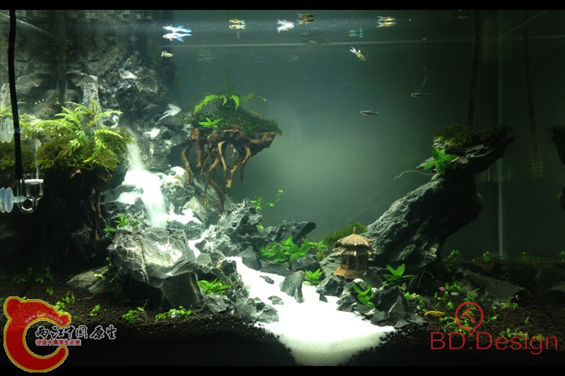 100627093978d377fee6a487a8副本.jpg