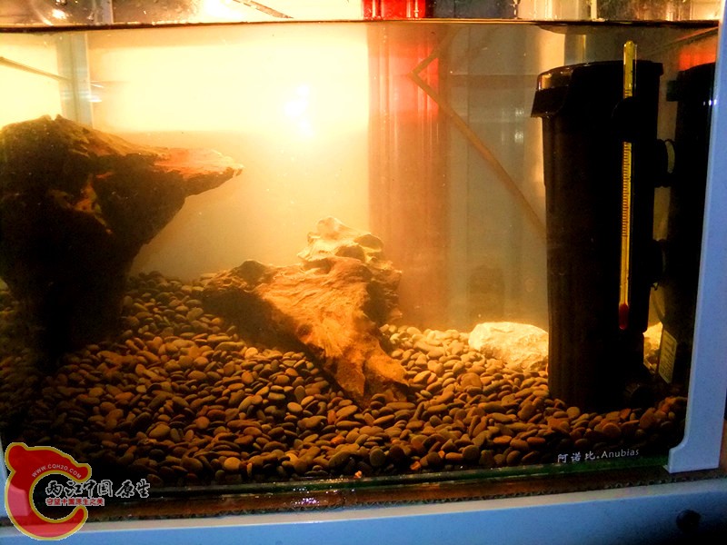 DSCF8228.JPG