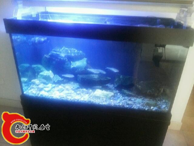 20131220_141718.jpg