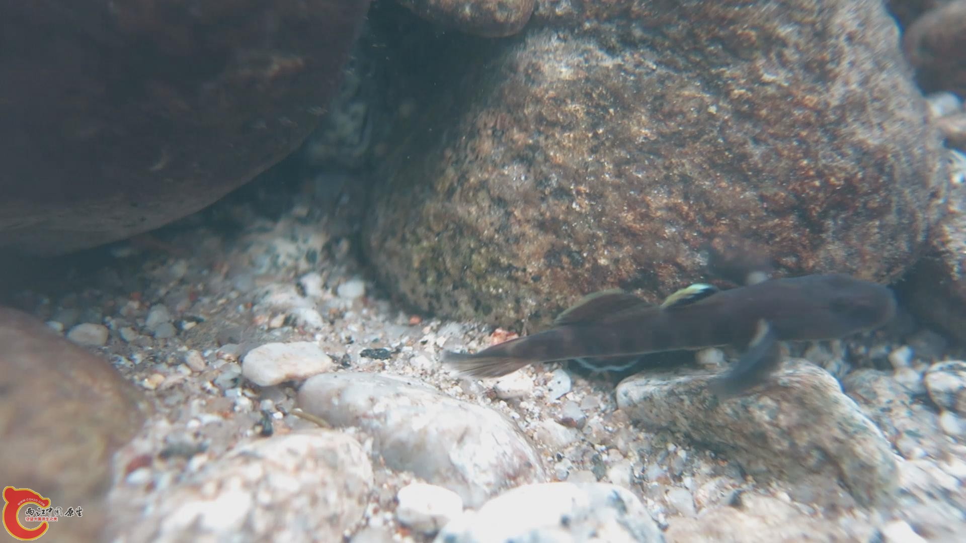 暴风截图201312202614234.jpg