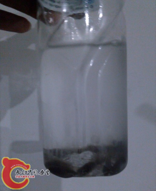 QQ图片20131222211427.jpg