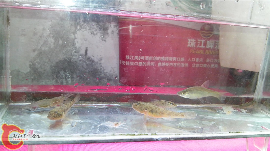 IMG_20130720_093723.jpg