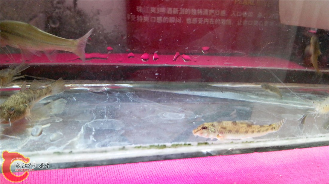 IMG_20130720_093736.jpg
