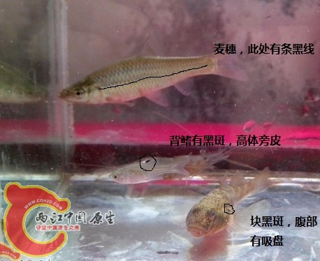 QQ图片20131223193140.jpg