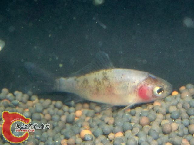 100_4357.JPG