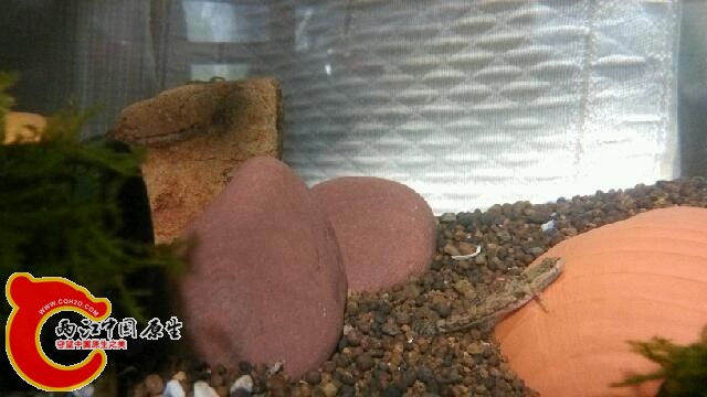 IMG_20140117_230033.jpg