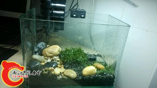 IMG_20140120_211803.jpg