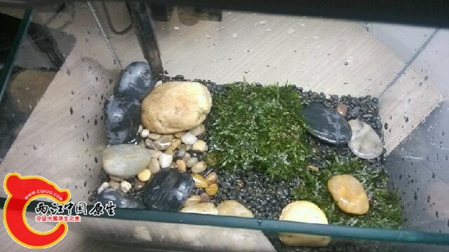 IMG_20140120_211754.jpg