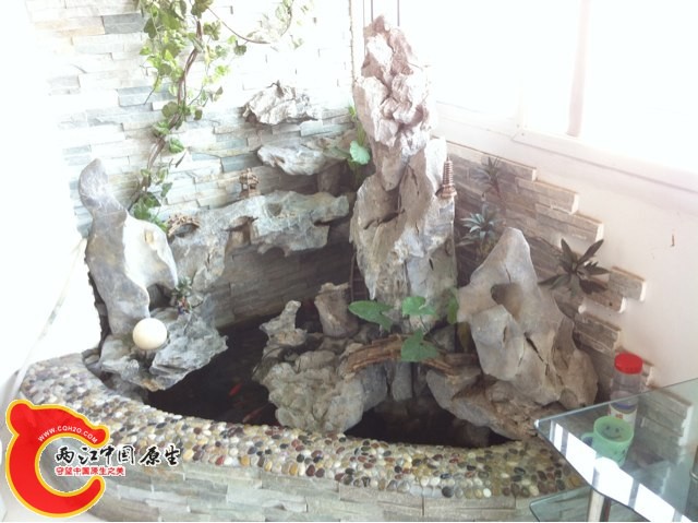 IMG0002.jpg