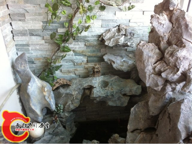 IMG0004.jpg
