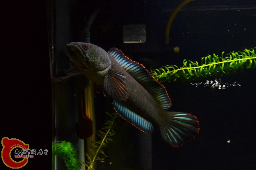 DSC_0776.jpg