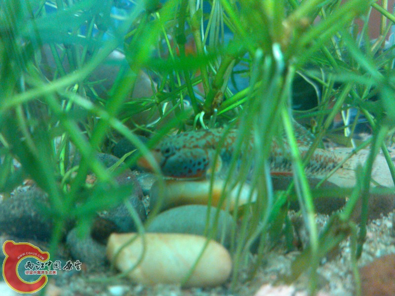 IMG_20130318_134114_副本.jpg