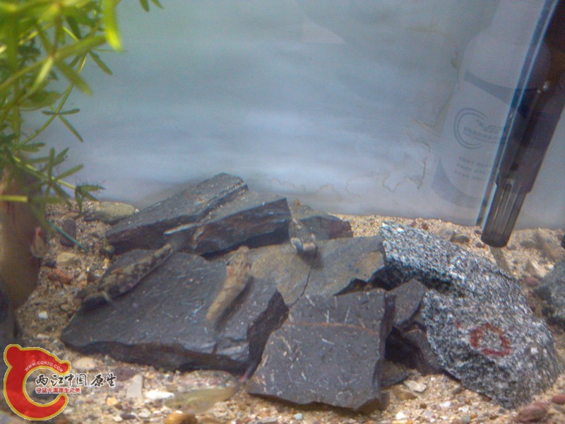 IMG_20130318_134329_副本.jpg