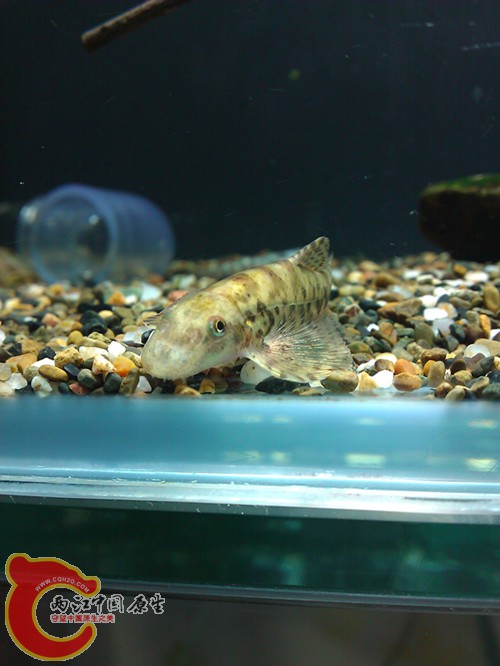 WP_009132_副本.jpg