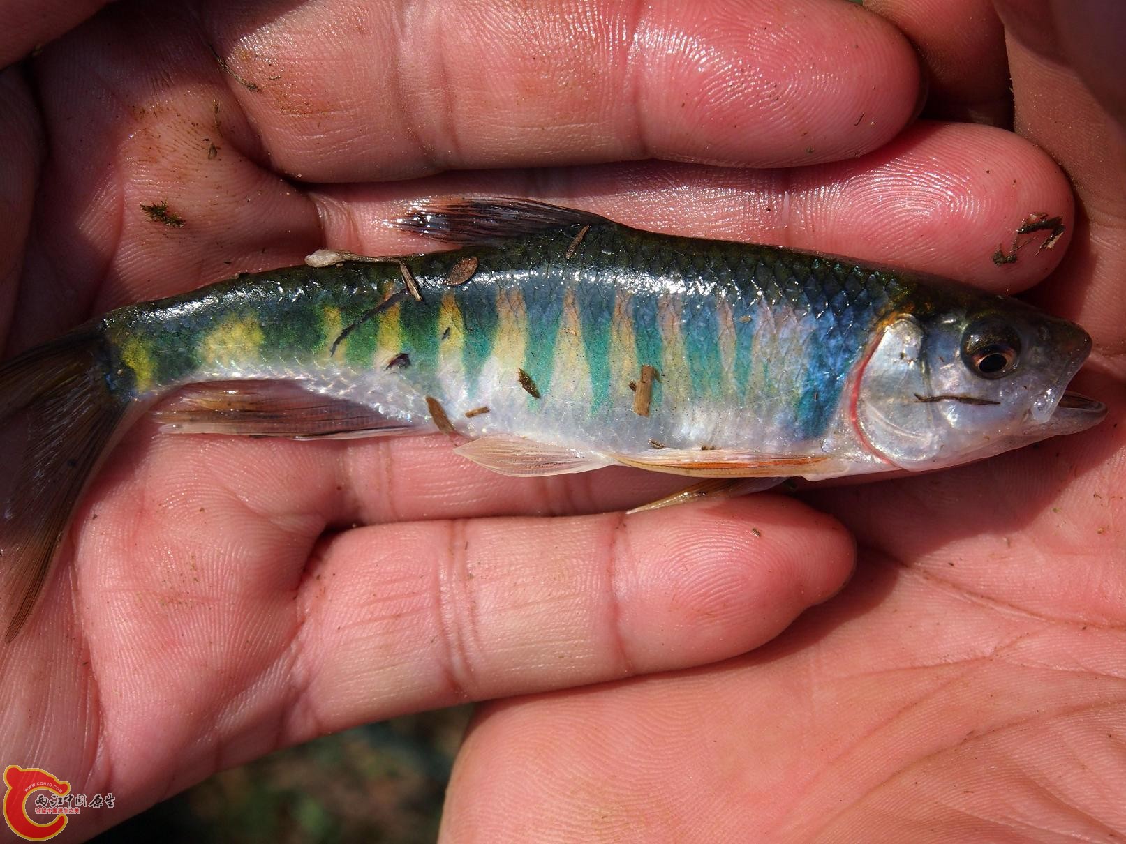PB0407312.JPG
