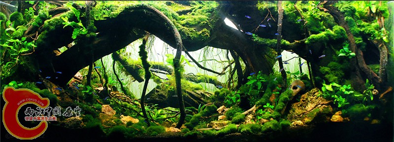 150.jpg