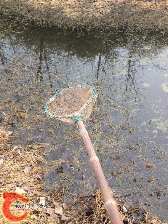 这个捞网用了十多年了！