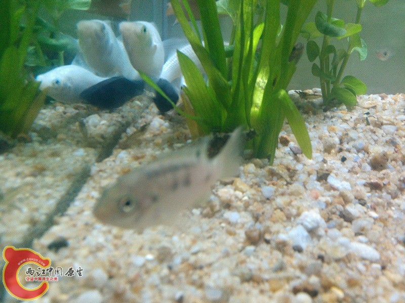 IMG20140218205738.jpg