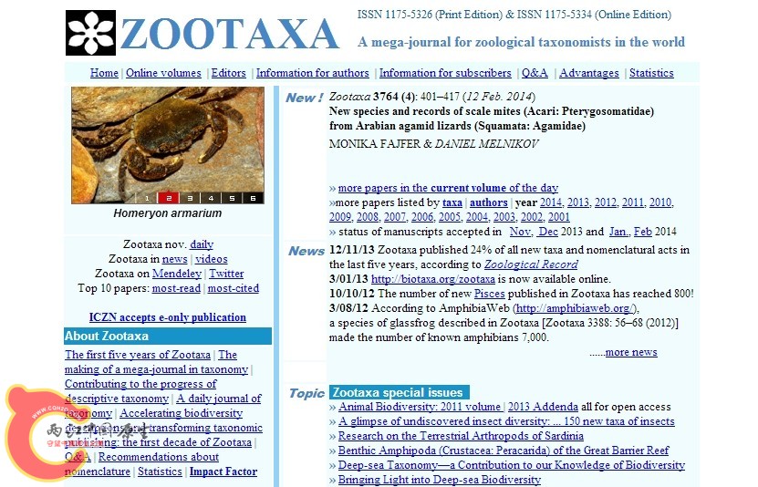 minutemon zootaxa.jpg