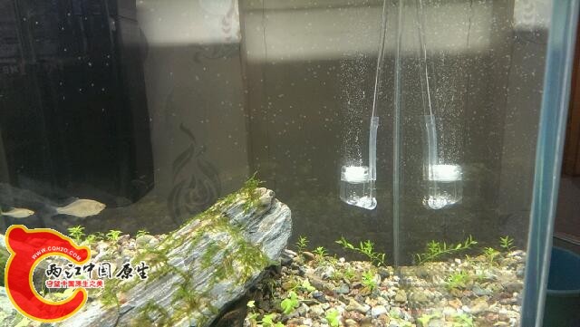 IMAG0396.jpg