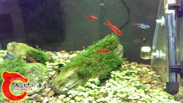 IMAG0565.jpg