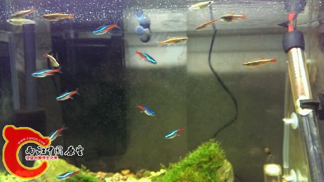 IMAG0576.jpg