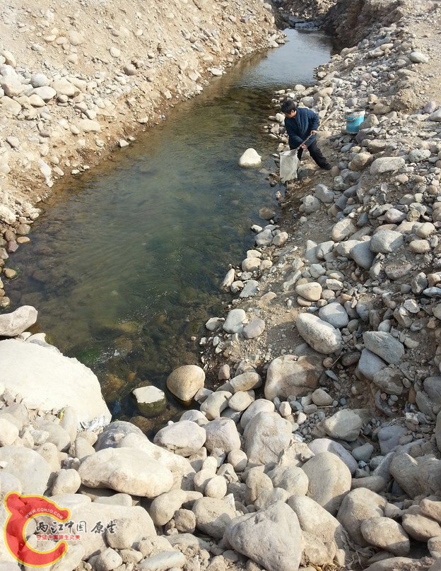 20140302_124900.jpg