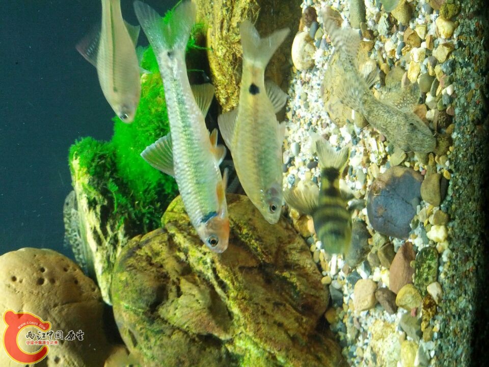 QQ图片20140304203831.jpg
