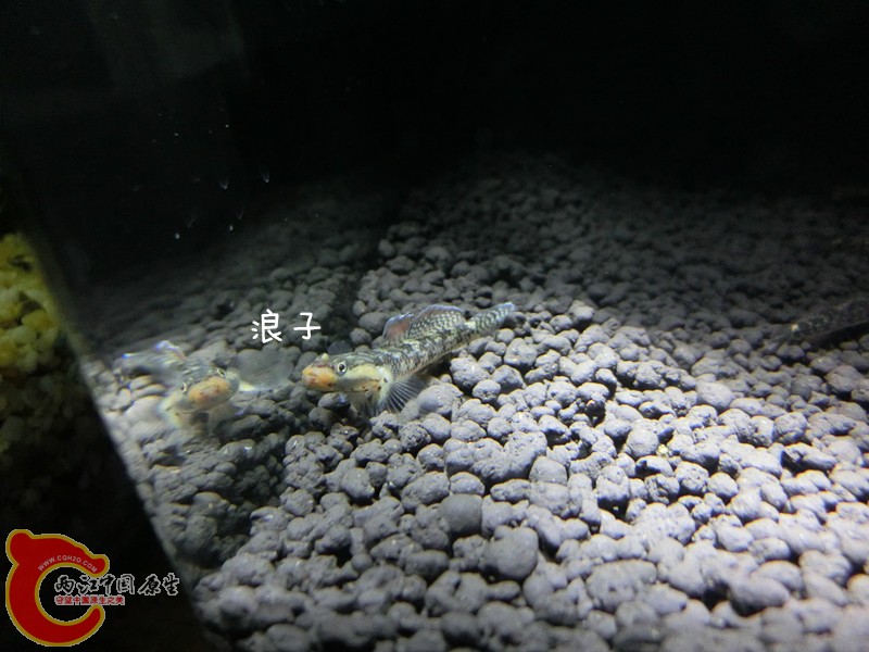 CIMG6751_副本.jpg