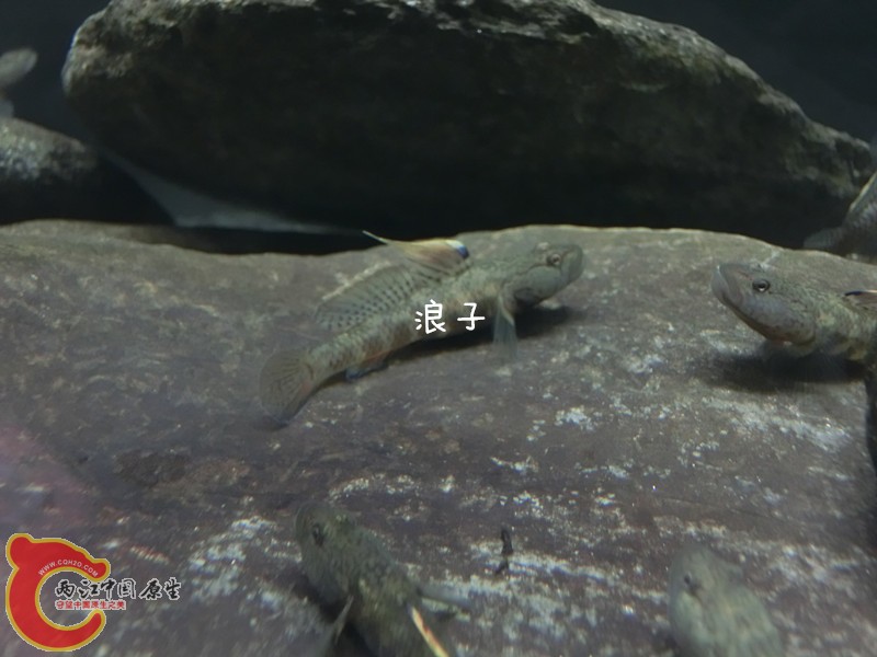 CIMG7088_副本.jpg