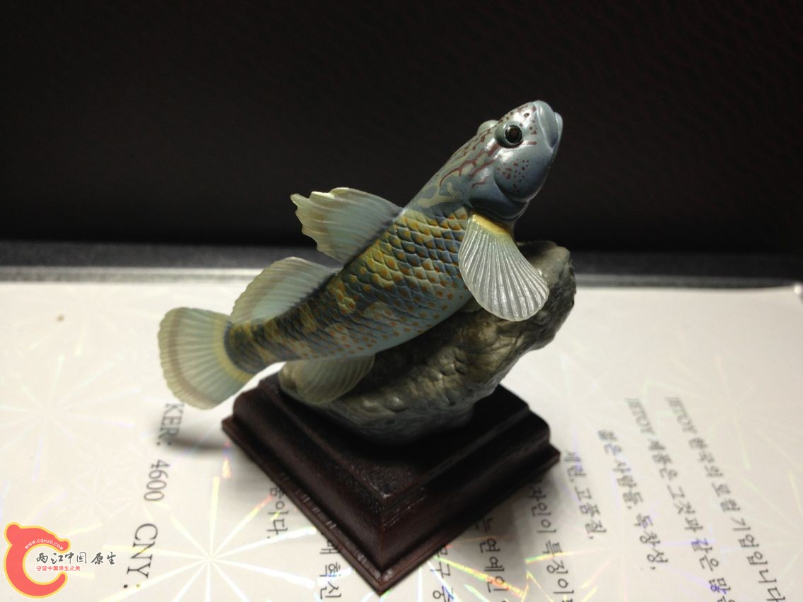 QQ图片20140308212948.jpg