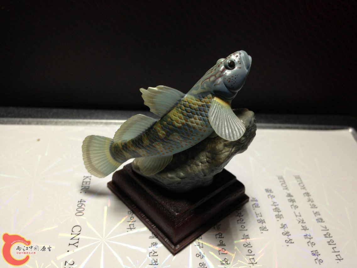 QQ图片20140308212956.jpg