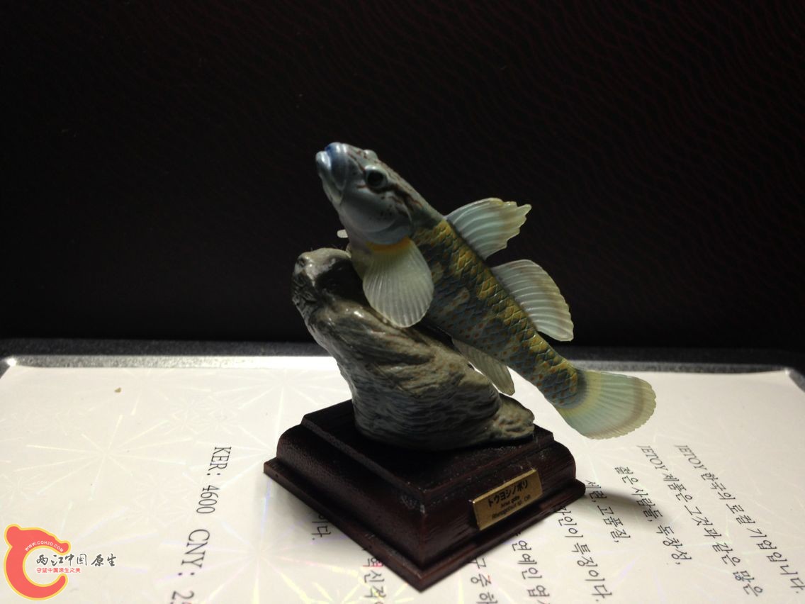 QQ图片20140308213023.jpg