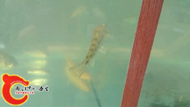 IMG_20140309_102302.jpg