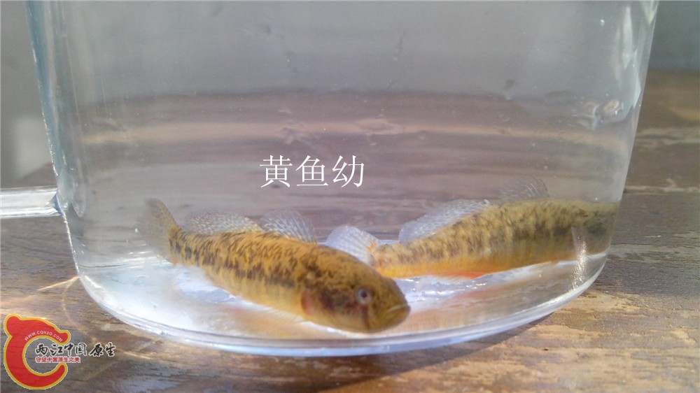 IMG_20140314_161308.jpg