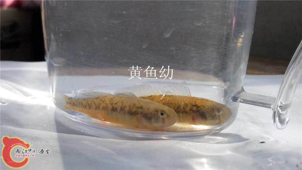 IMG_20140314_161618.jpg