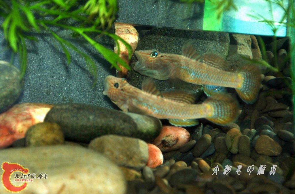 DSC_6433.JPG
